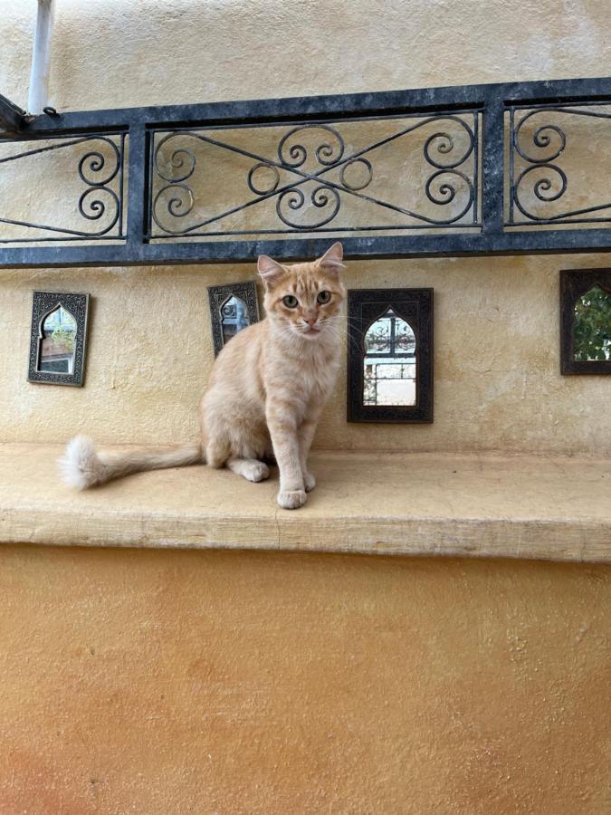 Riad Al Ibtikar มาร์ราเกช ภายนอก รูปภาพ